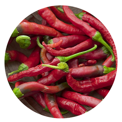 Peperoncino