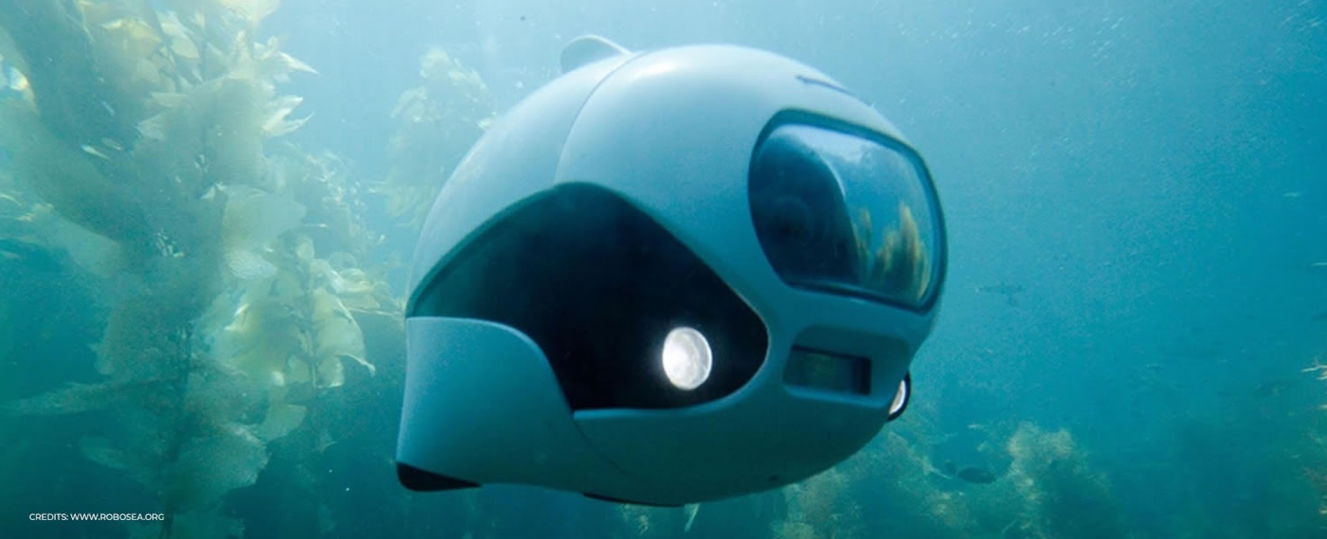 ROBOSEA BIKI Drone sottomarino